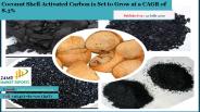 Coconut Shell Activated Carbon