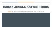 Indian jungle safari tours