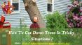 How To Cut Down Trees In Tricky Situations? PowerPoint PPT Presentation