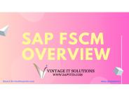 Sap Fscm Online Training in Bangalore