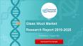 Glass Wool Market Research Report 2019 2025 PowerPoint PPT Presentation