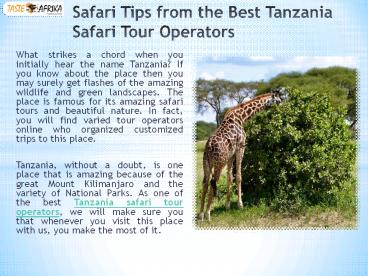 Customize your Holiday with the Best Travel Agency in Tanzania
