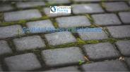 Get rid of weeds in block paving