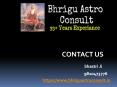 Famous Astrologer in Delhi PowerPoint PPT Presentation