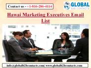 Hawai Marketing Executives Email List