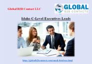 Idaho C Level Executives Leads