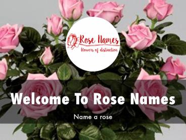 Rose Names Presentation