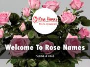 Rose Names Presentation