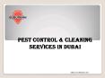 Pest Control and Cleaning Services Dubai PowerPoint PPT Presentation