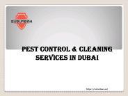 Pest Control and Cleaning Services Dubai