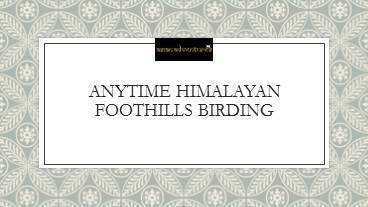 Anytime himalayan foothills birding