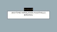 Anytime himalayan foothills birding