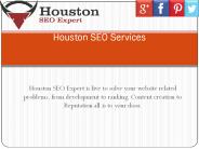 Houston Seo Expert