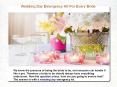 Wedding Day Emergency Kit For Every Bride PowerPoint PPT Presentation