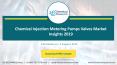 Chemical Injection Metering Pumps Valves Market Insights 2019 PowerPoint PPT Presentation