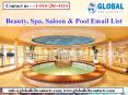 Beauty, Spa, Saloon & Pool Email List PowerPoint PPT Presentation