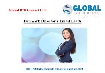 Denmark Director's Email Leads