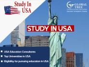 Study in USA’s best universities through Global Tree