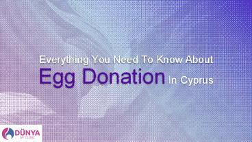 Everything You Need To Know About Egg Donation In Cyprus!