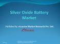 Silver Oxide Battery Market PowerPoint PPT Presentation