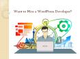 Where Hire WordPress Developer PowerPoint PPT Presentation