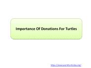 Importance Of Donations For Turtles