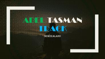 Abel Tasman Track Transport Newzealand | Guide