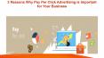 3 Reasons Why Pay Per Click Advertising is Important for Your Business PowerPoint PPT Presentation