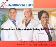 Obstetricians and Gynecologists Email List in USA PowerPoint PPT Presentation