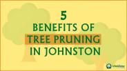 5 Benefits of Tree Pruning in Johnston