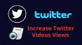 Twitter Marketing Strategies: Increase Twitter Videos Views PowerPoint PPT Presentation
