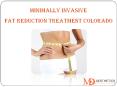 Minimally Invasive Fat Reduction Treatment Colorado | Autumn Stone MD Aesthetics PowerPoint PPT Presentation