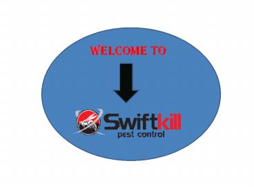 Top notch service for Pest control in Bexley