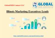 Illinois Marketing Executives Leads