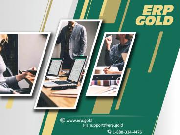 ERP Gold - Company Profile