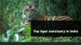 Top tiger sanctuary in India PowerPoint PPT Presentation