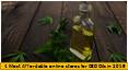 4 Most Affordable online stores for CBD Oils in 2019 (1)