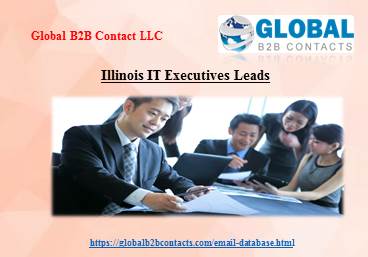Illinois IT Executives Leads