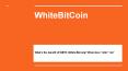 White Bitcoin PowerPoint PPT Presentation