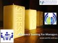 Resilience Training for Managers PowerPoint PPT Presentation