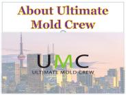 About Ultimate Mold Crew