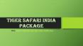Tiger safari India package PowerPoint PPT Presentation