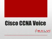 Cisco CCNA Voice