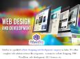 Why hire a professional for web Development Company? PowerPoint PPT Presentation