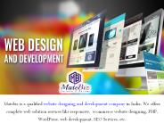 Why hire a professional for web Development Company?