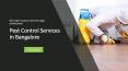 Pest Control in Bangalore | Best Pest Control Services at Reasonable Rates PowerPoint PPT Presentation