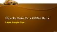 How To Take Care Of Pet Hairs PowerPoint PPT Presentation