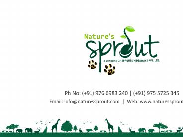 Best Accommodation near Kanha National Park - Nature's sprout@7719806444