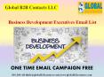 Business Development Executives Email List PowerPoint PPT Presentation