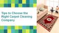 Tips to Choose the Right Carpet Cleaning Company PowerPoint PPT Presentation